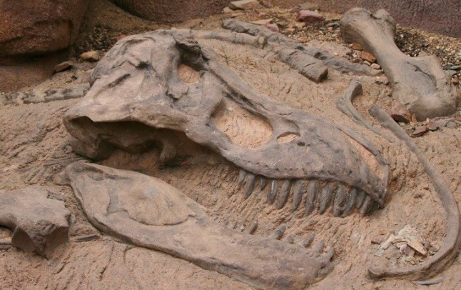 Descubrimiento sobre los dinosaurios