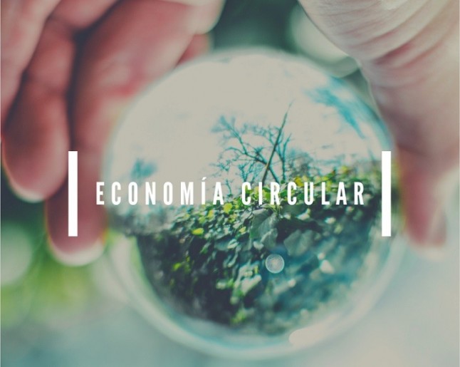 NESI Global Forum analiza las oportunidades de la economía circular