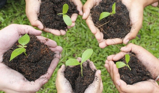 Cientos de asesinatos por defender el Medio Ambiente