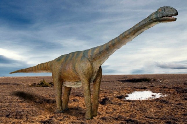 Un fósil de dinosaurio puede explicar cómo se hicieron tan grandes