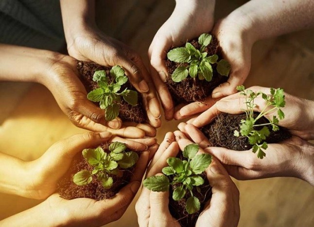 Alcalá de Guadaíra (Sevilla) celebra este sábado el Día Mundial del Medio Ambiente