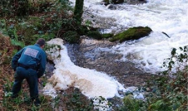 Asturias. Vuelven los vertidos de purines a las orillas de los rios del Occidente