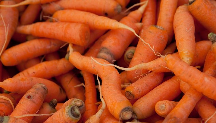 La pequeña agricultura