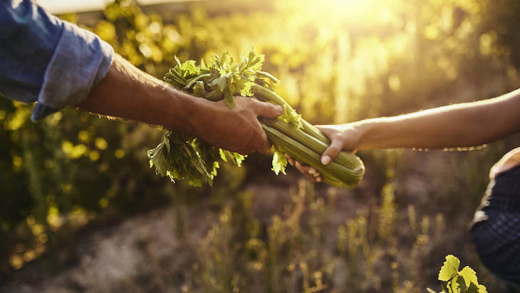Sabes que es una dieta climática y saludable