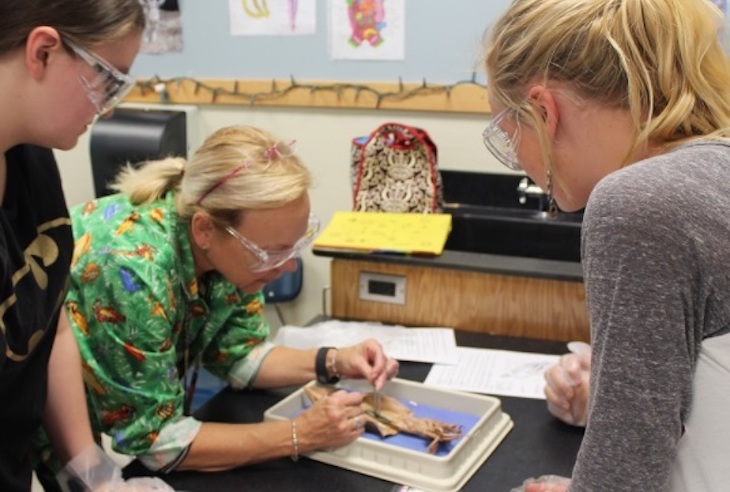 8 de cada 10 jóvenes considera esencial la labor del docente para inculcar valores medioambientales