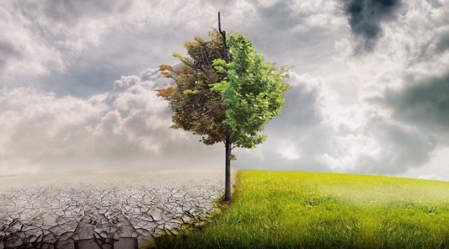 La OMT insta al sector turístico a tomar más medidas para combatir el cambio climático