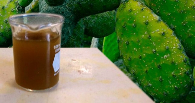 Nuevos materiales con residuos del nopal