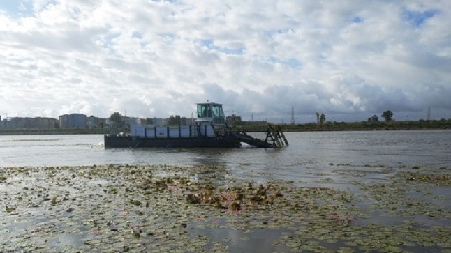 El dragado del Guadiana y el desbroce