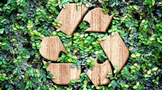 España considera los sistemas colectivos de reciclaje ‘esenciales’ en la economía circular