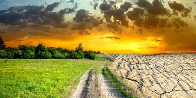 El Ministerio para la Transición Ecológica pretende que la evaluación del impacto ambiental sea prioritaria