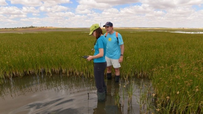 Pesticidas que arruinan los humedales
