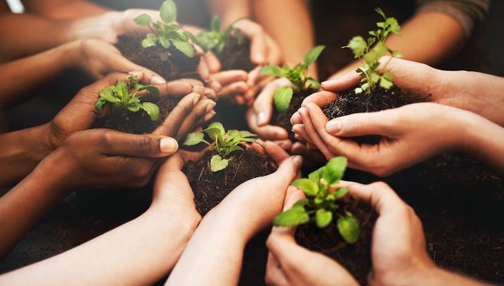 SEO/BirdLife se fija en las leyes europeas para "concienciar" por el medioambiente