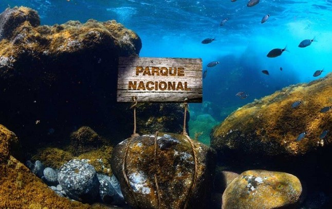 Narcolepsia del Cabildo de El Hierro ante la propuesta de creación del Parque Nacional Marino