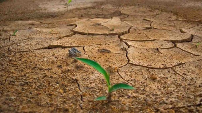 La geoingeniería solar no protege los cultivos del calentamiento global