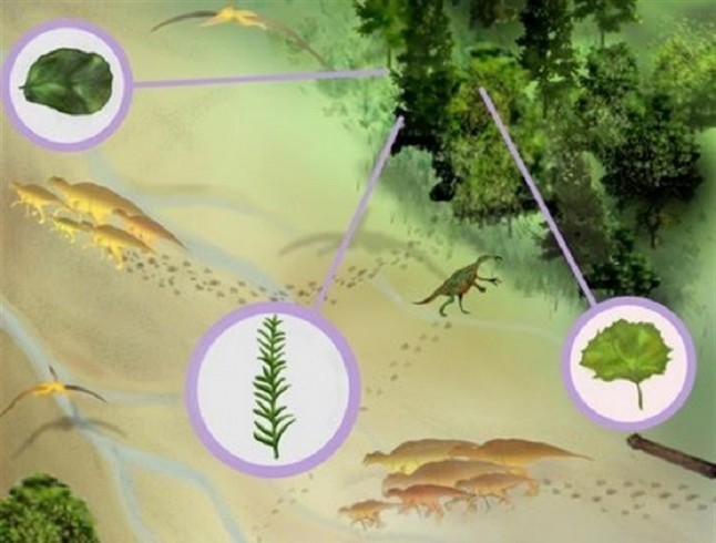 Grandes árboles con flores poblaban Norteamérica hace 90 millones de años