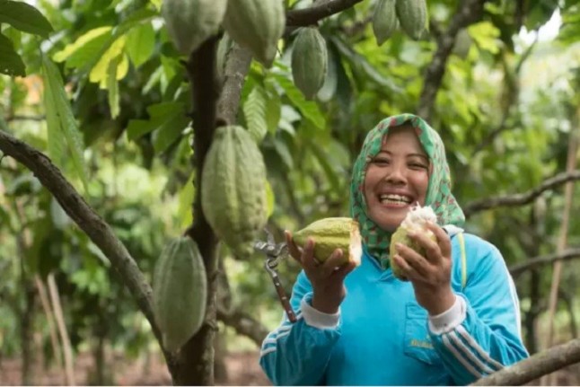 Programa de sostenibilidad: Cocoa Life