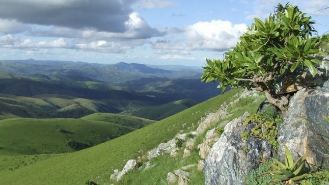 Materia orgánica no terrestre preservada en rocas de 3.300 millones de años