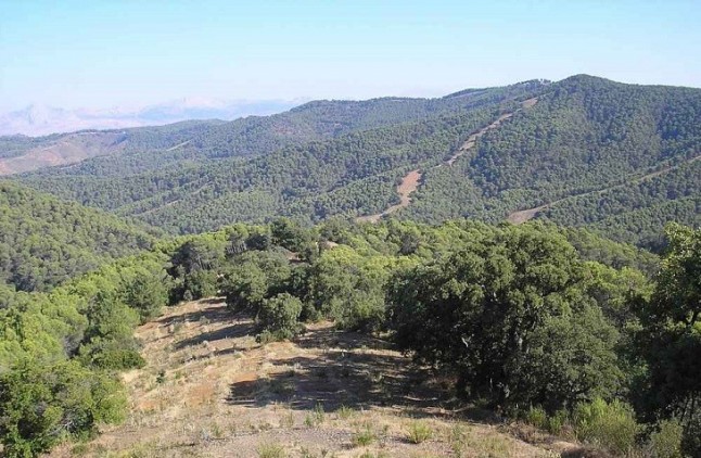 II Plan de Desarrollo Sostenible del Parque Natural de los Montes de Málaga