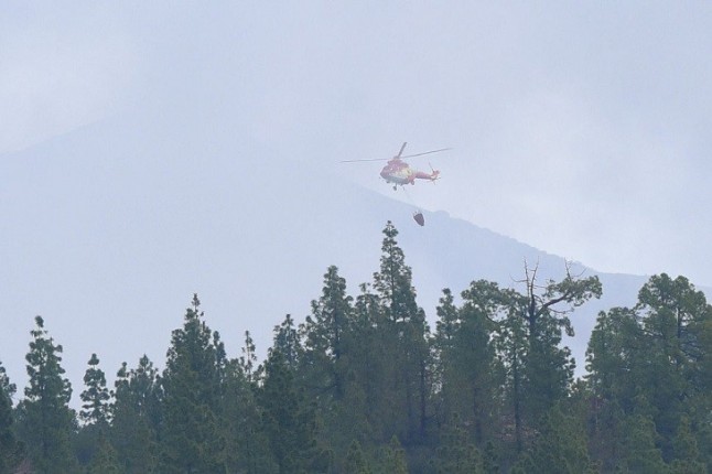 Los Cabildos de Canarias piden más medios aéreos contra incendios fuera de la campaña de verano
