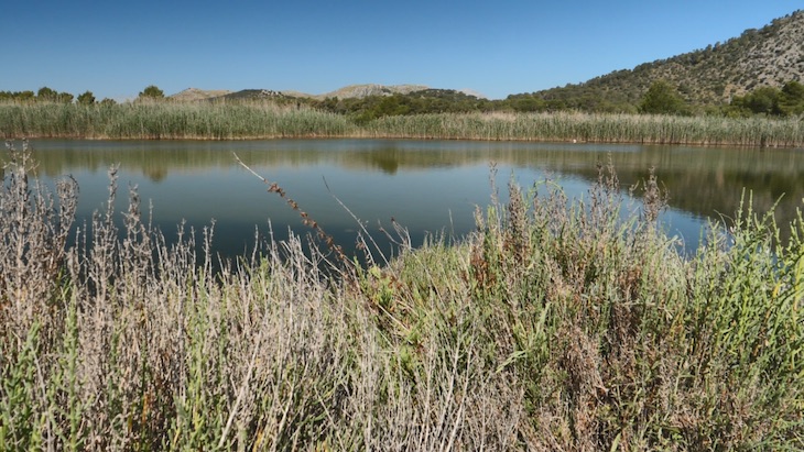 Fondos Europeos de recuperación Next Generation para restaurar humedales