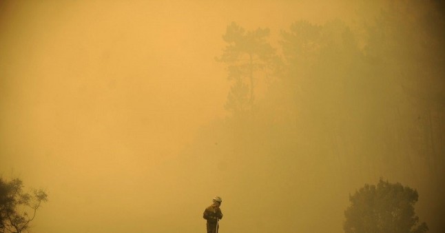 Reflexiones sobre los incendios en el norte de España