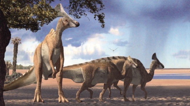 Todo sobre los dinosaurios pico de pato