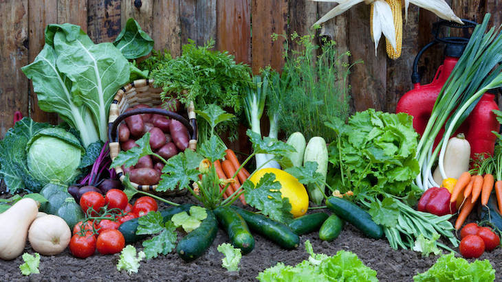 La Sociedad Española de Nutrición recomienda el comercio de proximidad