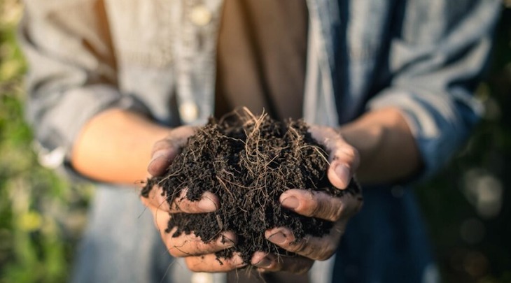 Galicia. El Concello de Cervo recibe medio centenar de compostadores domésticos aportados por Sogama