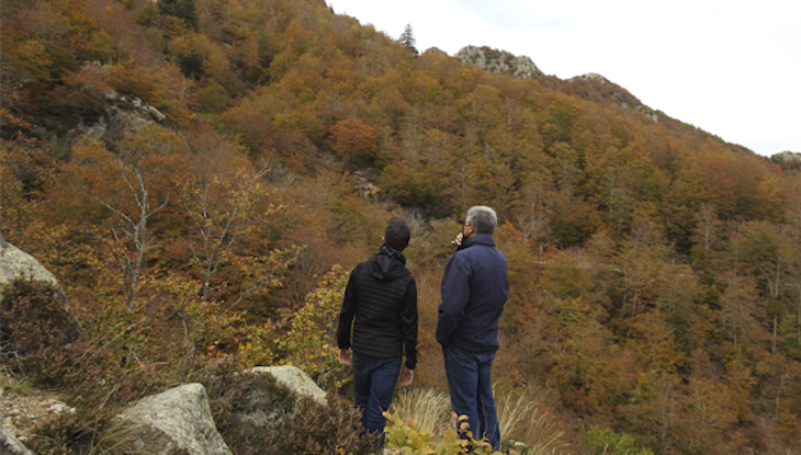 RitmeNatura busca personas voluntarias para fotografiar la coloración de los árboles y la caída de las hojas este otoño