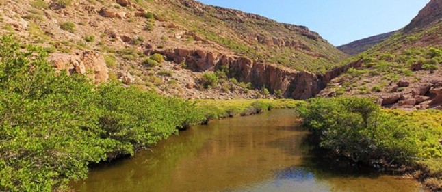 Científicos monitorean manglares del Parque Nacional Archipiélago de Espíritu Santo