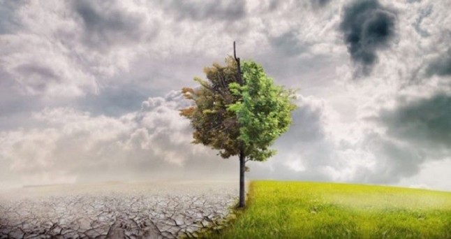 La enorme importancia de la agricultura para frenar el cambio climático y preservar el medio ambiente