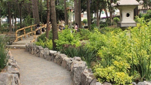 Vivero Coyoacán suspende donación de árboles hasta el mes de julio