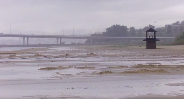 Ecologistas cifra en 10.000 millones de euros el impacto ambiental de la actividad portuaria en Algeciras (Cádiz)