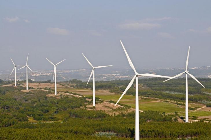 Los parques eólicos de Naturgy en Andalucía ‘viento en popa’