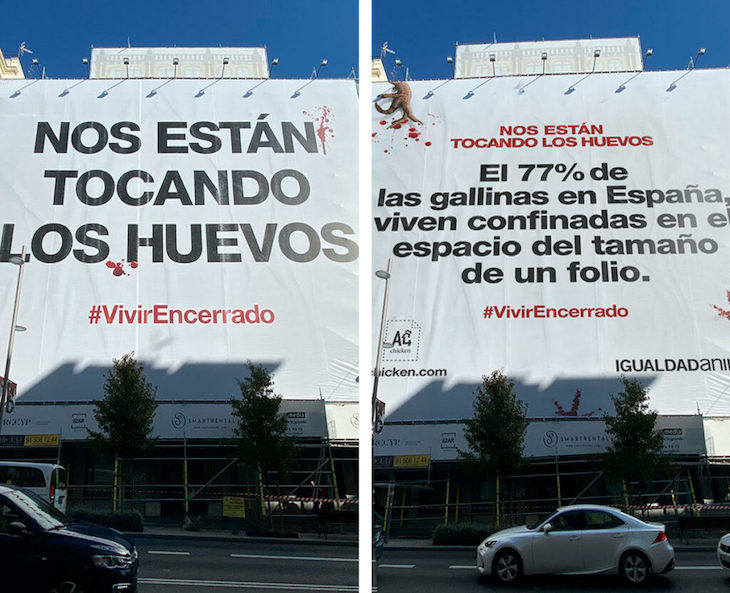 Igualdad Animal lanza este sugestivo eslogan: ‘nos están tocando los huevos’