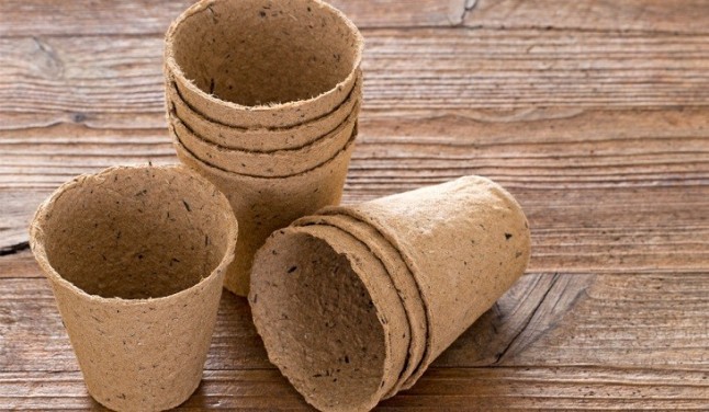 Envases biodegradables