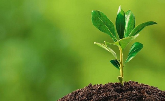 La economía medioambiental aumentó un 6% en 2017 hasta representar el 1