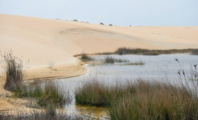 Galicia. Alegaciones de Verdegaia al PRUX del Parque Natural de Corrubedo