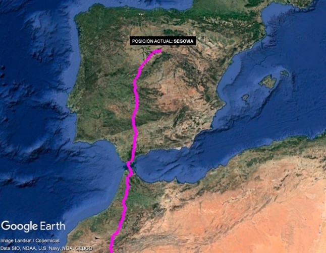 El alimoche "Montejo" llega a Segovia tras recorrer los últimos 850 kilómetros en 4 días