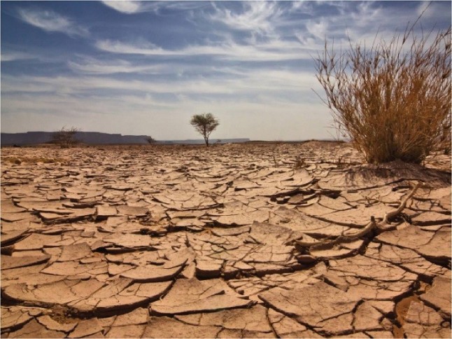 El secretario general de la ONU reclama unión y liderazgo para combatir el profundo problema con el cambio climático