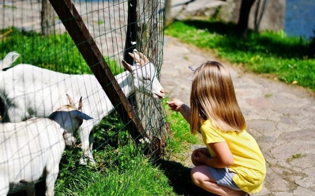 Los zoos podrían transmitir bacterias resistentes a los medicamentos