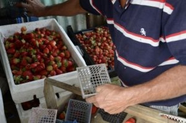 24 productores son ejemplo por sus prácticas sostenibles