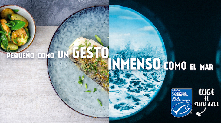 Día Mundial de los Océanos