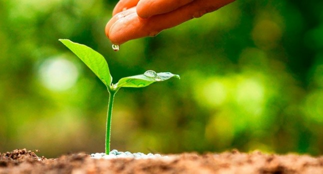 Granada impulsa proyectos para la sostenibilidad ambiental