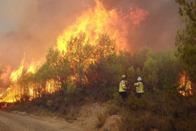 California cortará la electricidad a 27.000 personas para reducir el riesgo de incendios forestales