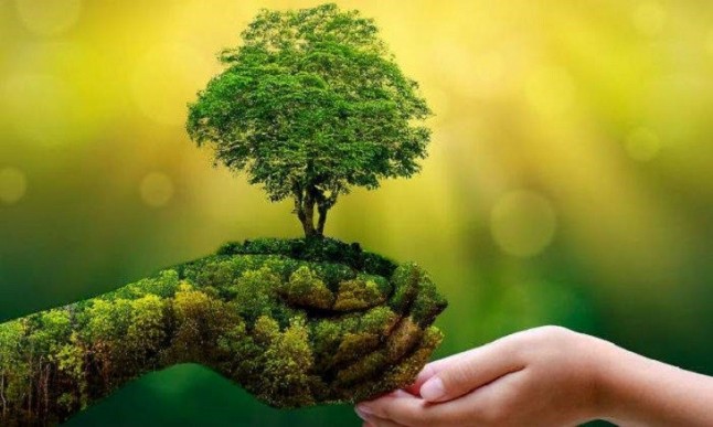 VII Beca de Periodismo Ambiental dirigida a estudiantes o recién licenciados