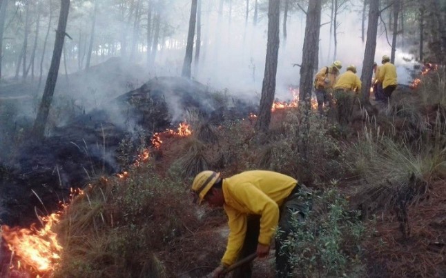 La Fiscalía escribe a los 151 alcaldes de los municipios con más incendios para recordarles su obligación de prevención