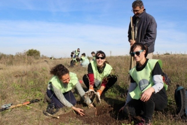 Hay que plantar árboles nativos para recuperar biodiversidad