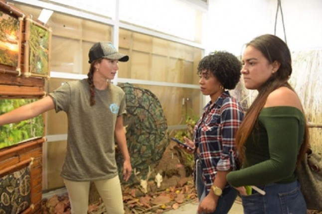 Los 500 MEJORES PROYECTOS SOCIALES Y AMBIENTALES  de Latinoamérica