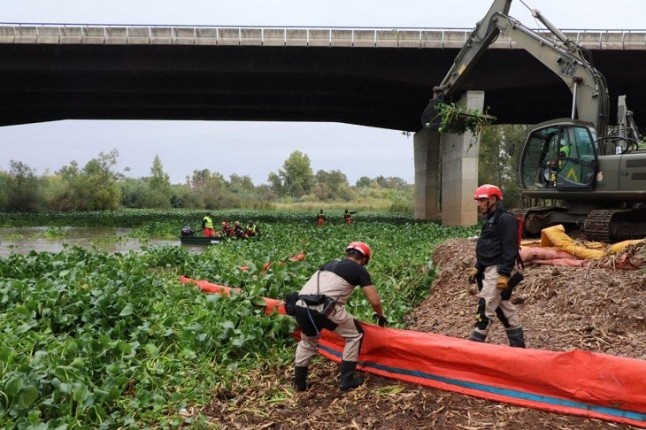 Ecologistas extremeños critican la improvisación contra el camalote